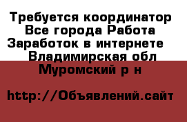 Требуется координатор - Все города Работа » Заработок в интернете   . Владимирская обл.,Муромский р-н